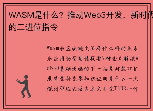 WASM是什么？推动Web3开发，新时代的二进位指令